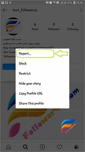 Report